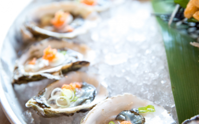 Culilex - Freelance kok inhuren - Alexander Foppen - oesters